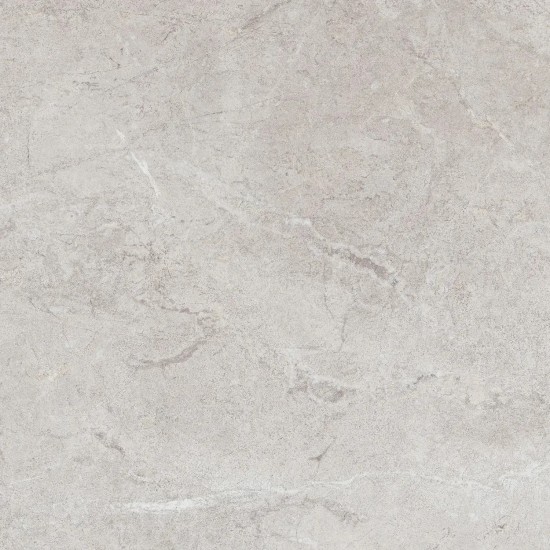 Perfecto Silver F P 470x470x8 NR Mat 1 плитка для підлоги TEO CERAMICS