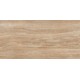 Travertine Gold F PC 60x120 R Mat плитка для пола