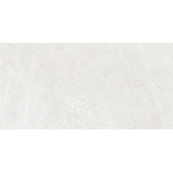 Distinct Ice Rect 59.7x119.7 плитка напольная Cerrad