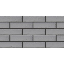 Foggia gris 6.5x24.5 плитка для стен Cerrad