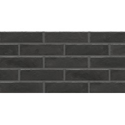 Foggia nero 6.5x24.5 плитка для стен Cerrad