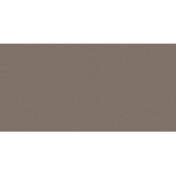 Monolight Brown RECT 59.7x119.7 плитка підлогова Cerrad