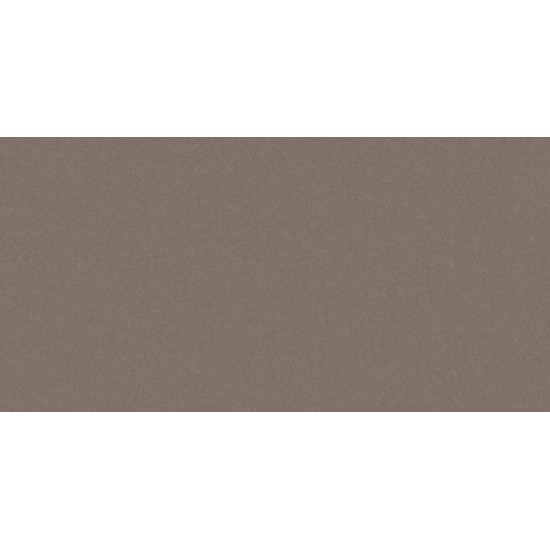 Monolight Brown RECT 59.7x119.7 плитка підлогова Cerrad