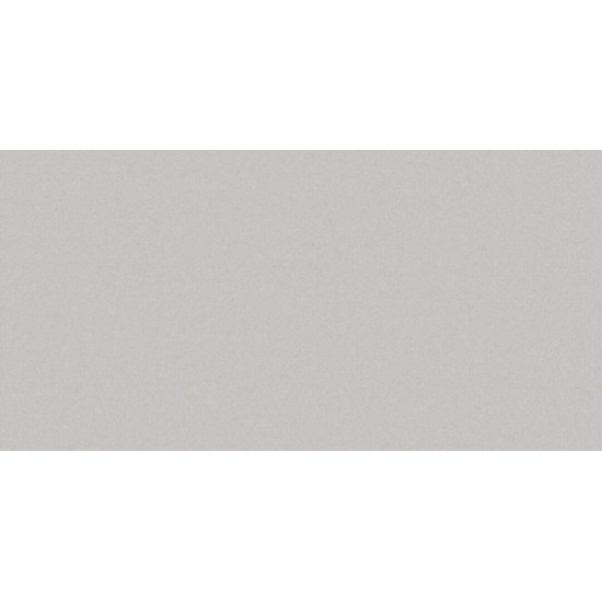 Monolight Grey RECT 59.7x119.7 плитка підлогова Cerrad