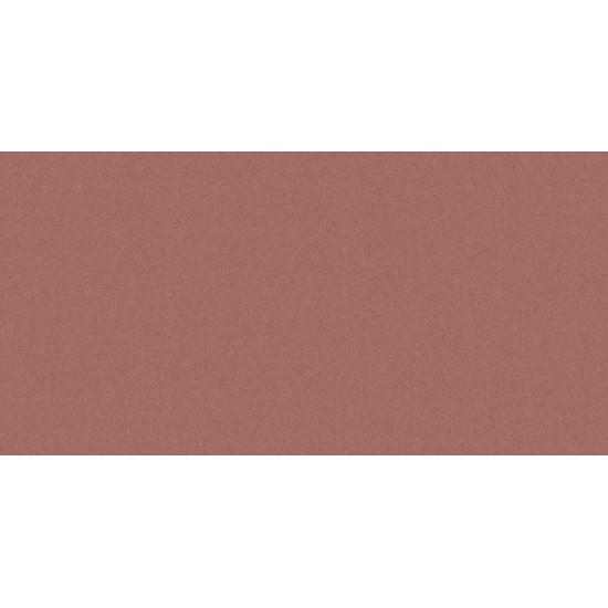 Monolight terracotta RECT 59.7x119.7 плитка підлогова Cerrad