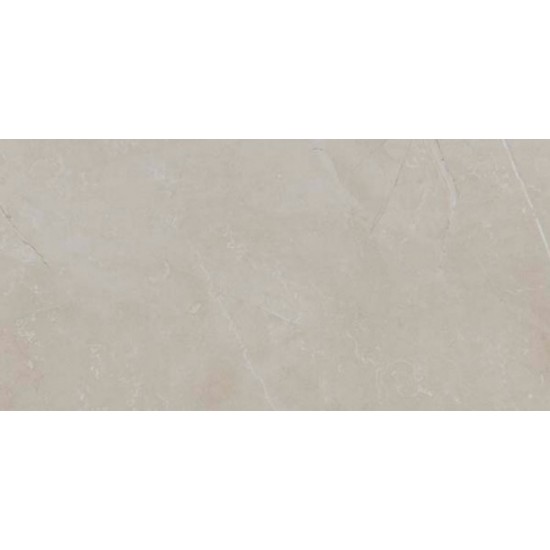 Slabs Gris 60х120 плитка напольная Ecoceramic