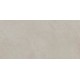 Slabs Gris 60х120 плитка напольная Ecoceramic
