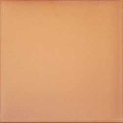 Natural 24.4x24.4 900005 MC390 плитка для підлоги Gres Aragon