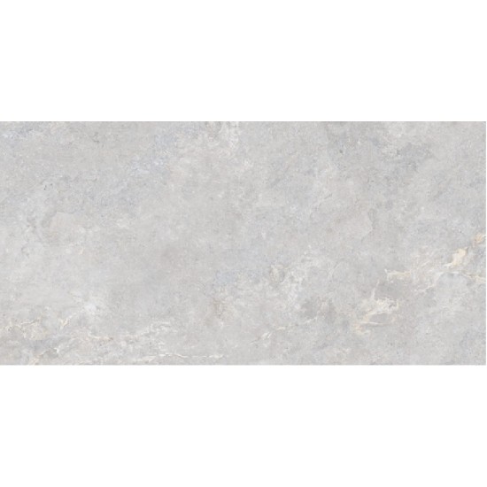 Ironforge Light grey Stonelo+carving  60x120  60x120 плитка для пола Italica