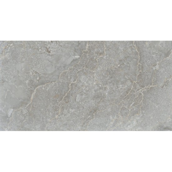 Magnavena Grey Silk Pro 60x120 плитка для підлоги Italica