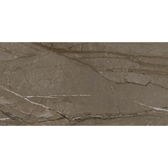 Sierra Mink RT 60x120 керамогранит Kutahya