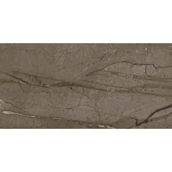 Sierra Mink RT 60x120 керамогранит Kutahya