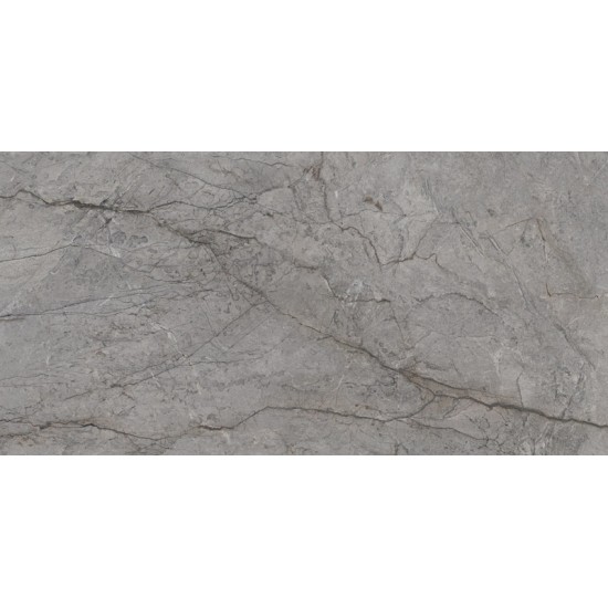 Visioner Grey RECT POL 59.8x119.8 плитка для пола Paradyz