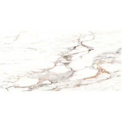 Nova Statuario POL 60x120 плитка для пола Raviraj Ceramics