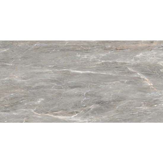 Olampia grey POL 60x120 polished Raviraj Ceramics