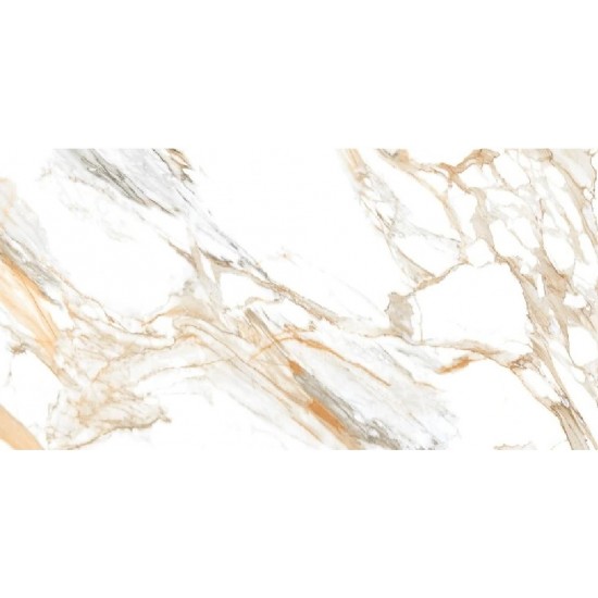 Roman Satuario POL 60x120 плитка для пола Raviraj Ceramics