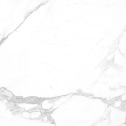Radial Statuario POL 60x60 керамогранит для пола Raviraj Ceramics