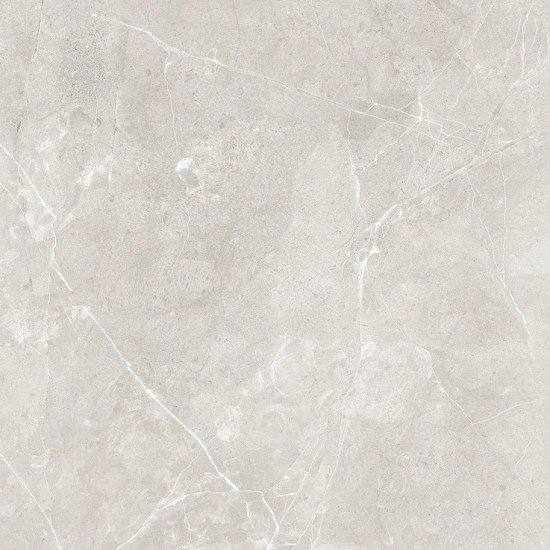 Sanaa Grey POL 60x60 керамогранит для пола Raviraj Ceramics