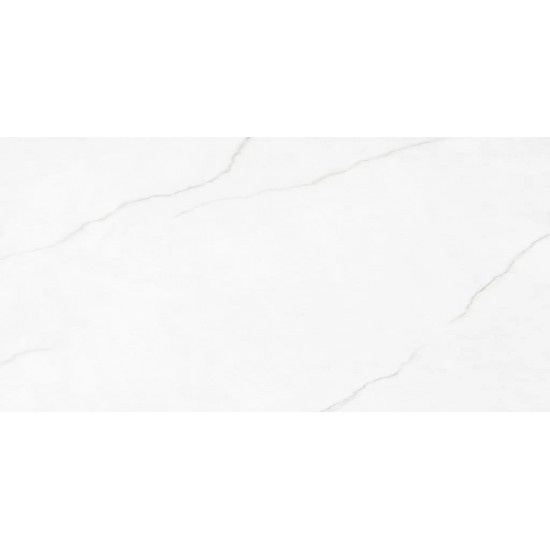 Polar Silver Mat 60x120 RC плитка для пола Rocersa