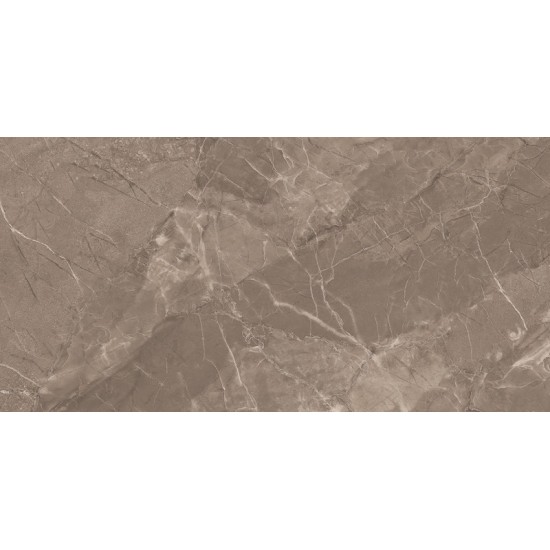 Turkey brown CT48065P 40x80 керамогранит Stevol