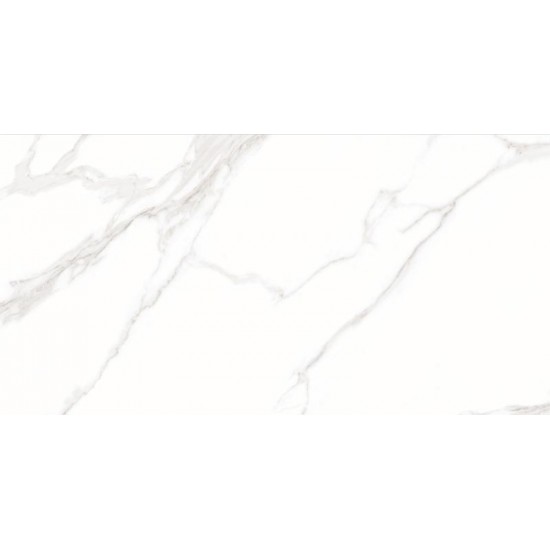 Staturio calacatta T61295 60x120  Stevol