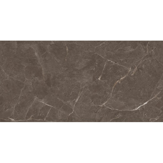 Elite Brown satin matt 60x120