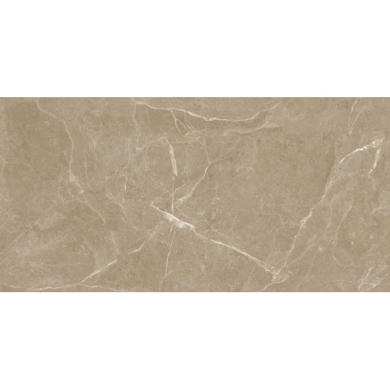 Elite Tan Carvingt 60x120