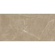 Elite Tan Carvingt 60x120
